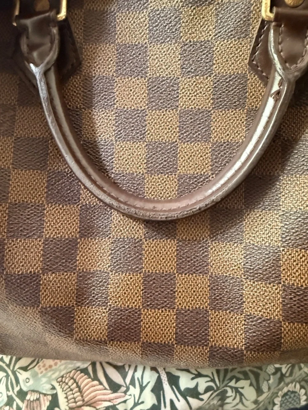 LV Speedy 30 - Picture 7 of 8